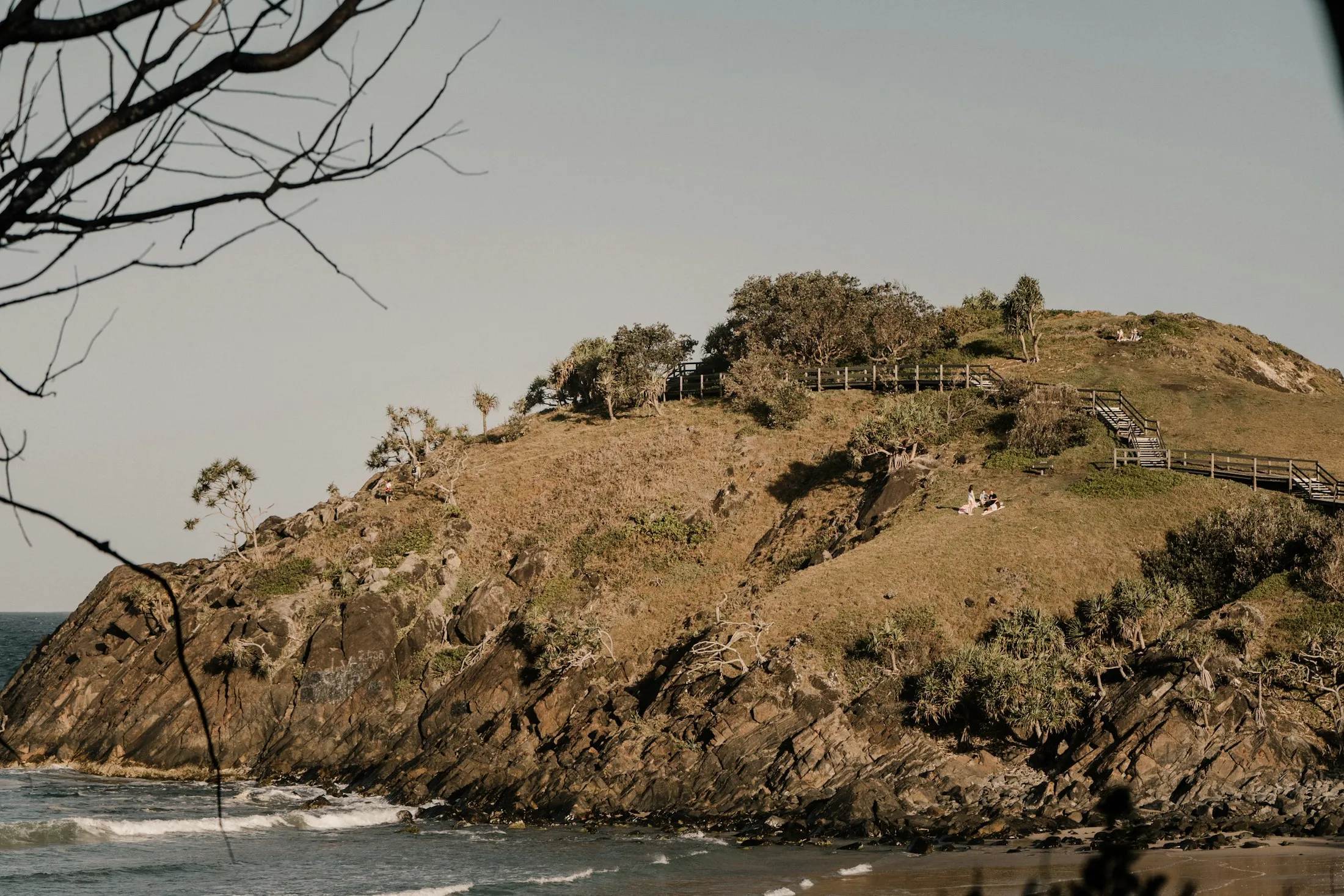 A grassy coastal headland with wind-shaped trees and a boardwalk above the sea